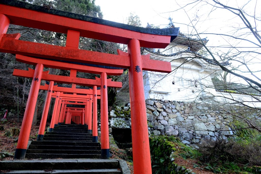 🏯 이즈시 성터(이즈시조아토) 이미지 6